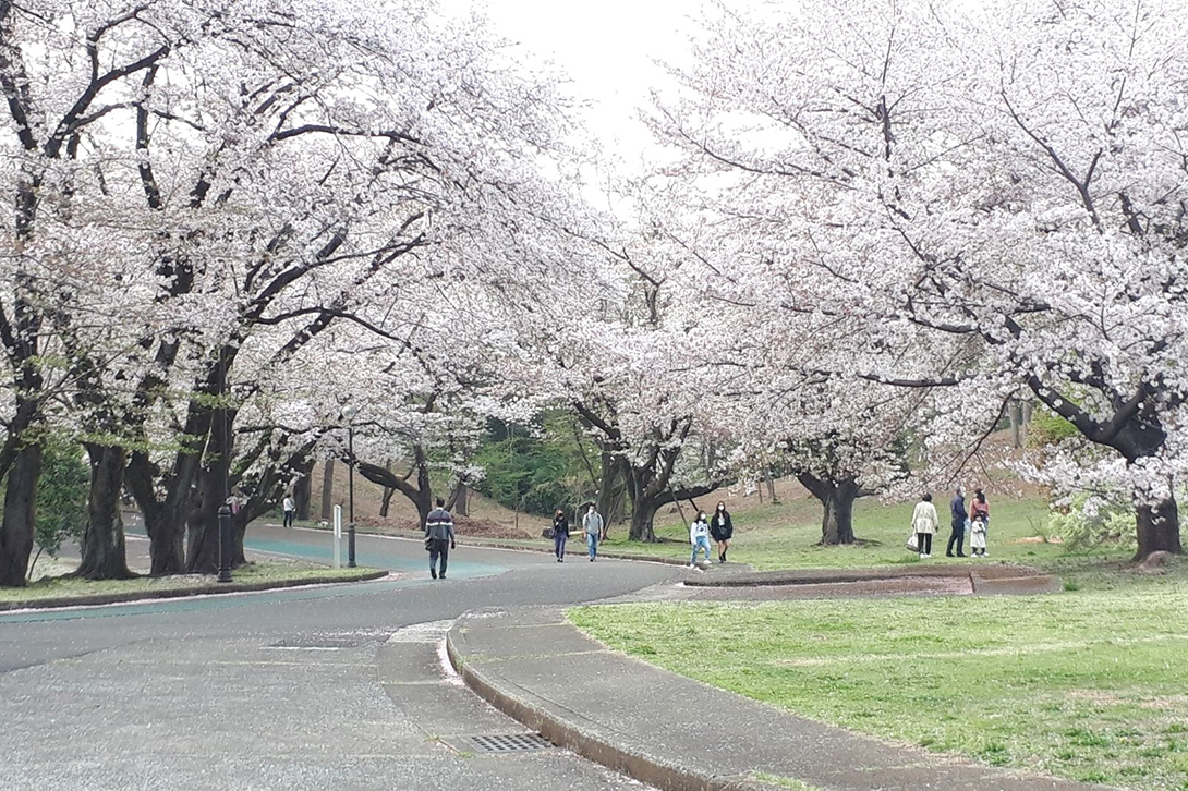 病院の近隣風景